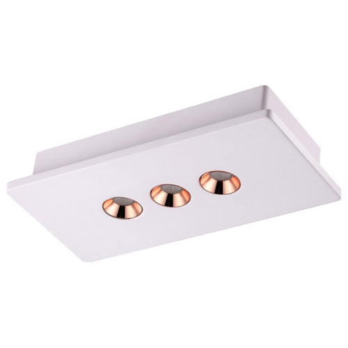 Накладной светильник Novotech Caro 357940. Фото №1