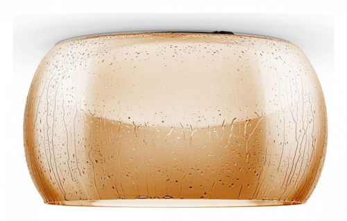 Накладной светильник Maytoni Solen MOD074CL-L13B3K. Фото №1