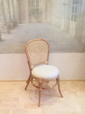 Стул 04/19. Фото №4