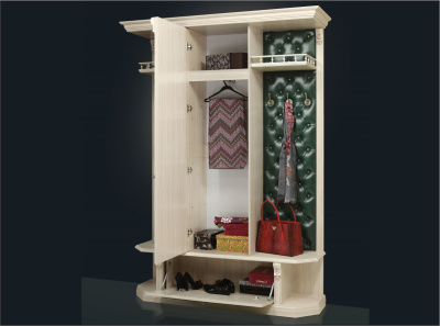 Прихожая Благо 5 Б 5.13-9. Фото