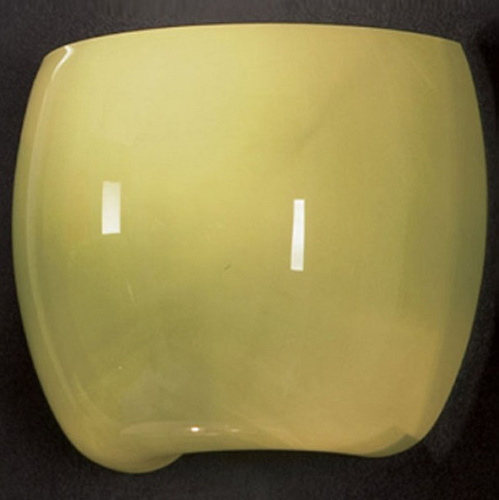 Накладной светильник Lussole Mela GRLSN-0221-01. Фото №1