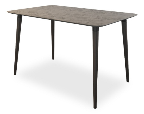 Олимп 1 Стол (обеденный) камень темный/венге. Фото №1