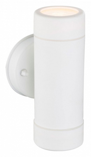 Светильник на штанге Globo Cotopa 32004-2. Фото №1