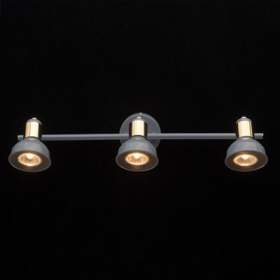 Спот MW-Light Хоф 552020303. Фото